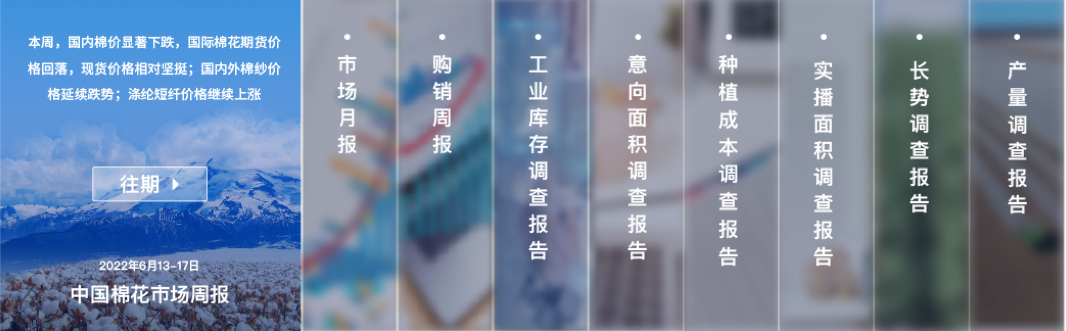 中國棉花網(wǎng)報告設(shè)計(jì)